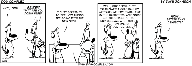 dog